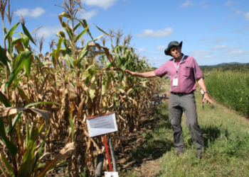 Conservation Agriculture Remodeling Farming in Southern Africa — International Points