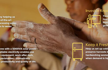 Photo voltaic Kitchen Initiative Goals to Develop Entry to Clear Power in Angola — World Points