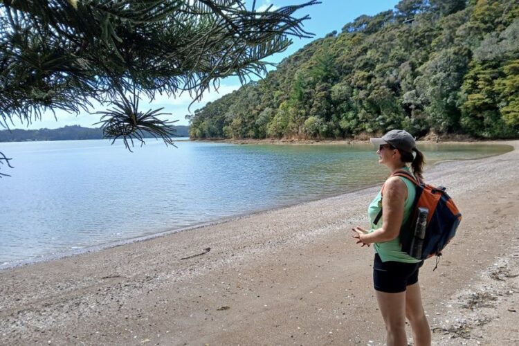 Digital Nomad Information to Dwelling in New Zealand