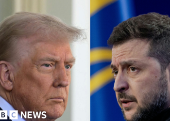 Zelensky to fulfill Trump in Washington to signal minerals deal