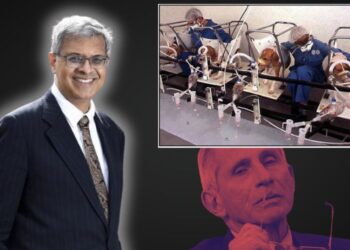 Senate Affirmation of Jay Bhattacharya Ought to Carry an Finish to Merciless and Wasteful Fauci-Period Testing | The Gateway Pundit
