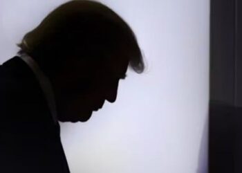 Trump Is Arresting Judges As a result of The Ultimate Pillar Of His Presidency Is Crumbling