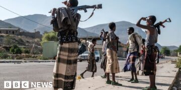 TPLF says Ethiopia ban threatens Tigray peace deal